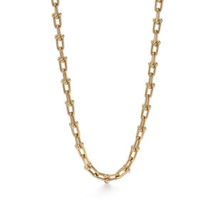 Nimi Styles HardWear Medium Link Necklace in Yellow Gold